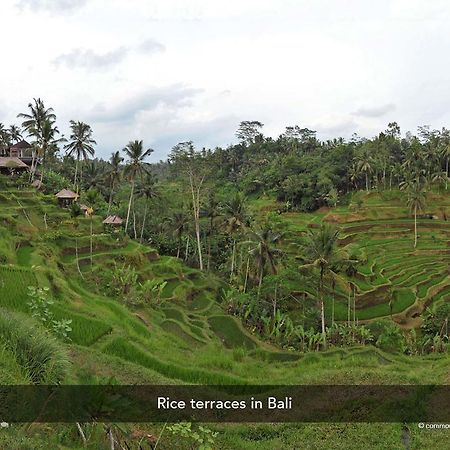 Zen Rooms Dewi Ratih Seminyak Kuta  Bagian luar foto